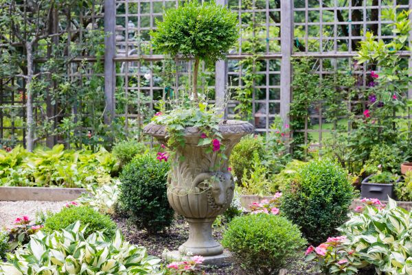 Topiary Pruning in Louisville