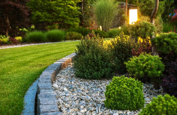 Bush Relocation in Louisville