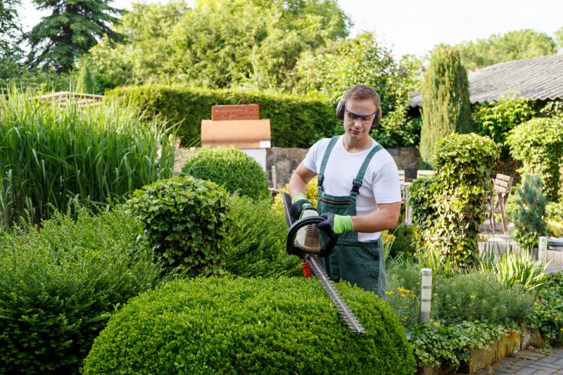 Trimmed Shrubs